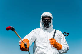 Best Termite Inspection and Treatment  in Pahokee, FL